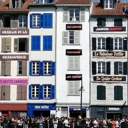 Bel Appartement, Parking Gratuit Bayonne